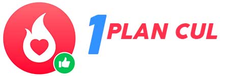 logo 1 plan cul